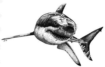 Great White Shark