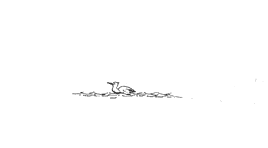 Attack on a cormorant